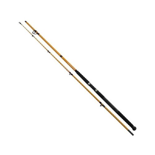 Caña Daiwa FT Surf 10 Pies  