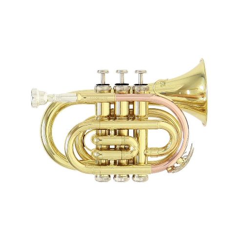 TROMPETA ROY BENSON C/ESTUCHE PT-101 - Gonher Music Center  