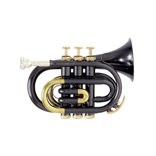 TROMPETA ROY BENSON C/ESTUCHE PT-101K - Gonher Music Center  