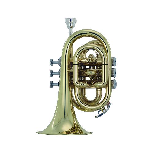 TROMPETA WESNER C/ESTUCHE MOD. PTP2000-L - Gonher Music Center  