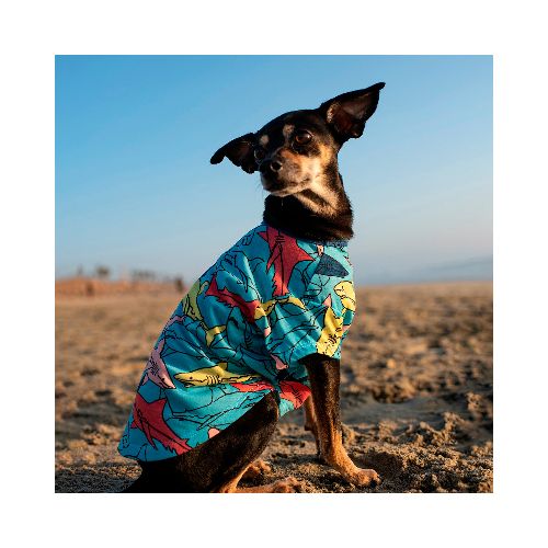 Camiseta de Tiburones para Perro, Talla XXS, Vibrant Life  