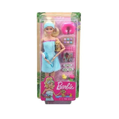 Barbie Wellness Surprise Dolls GKH73  