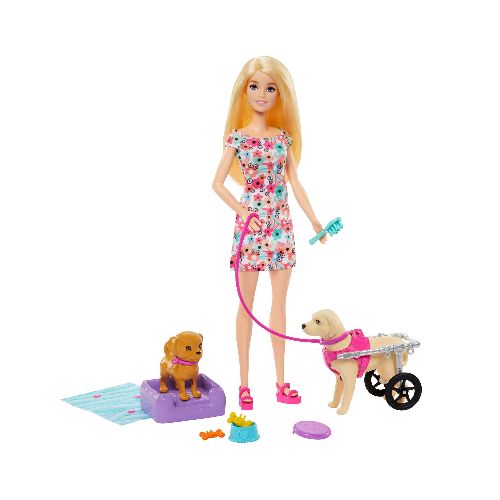 Barbie Paseo con Perrito en Silla de Ruedas HTK37  