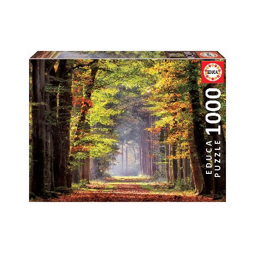 Autumn Walk Puzzle 1000 Pieces  