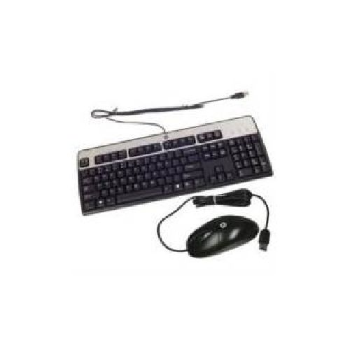 KIT TECLADO Y MOUSE HPE USB US COLOR NEGRO  